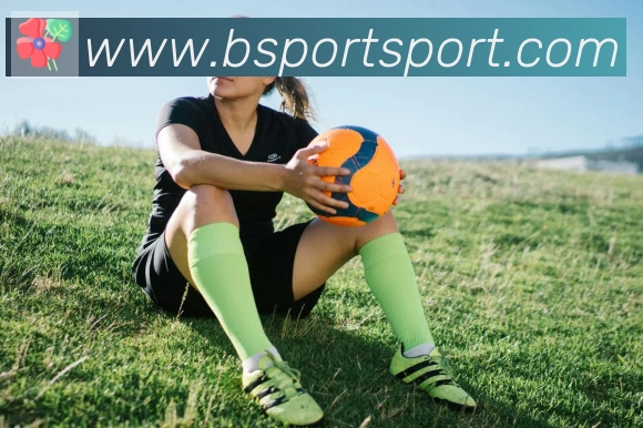 Bsports官网平台生态图