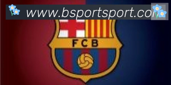 Bsports官网合作伙伴