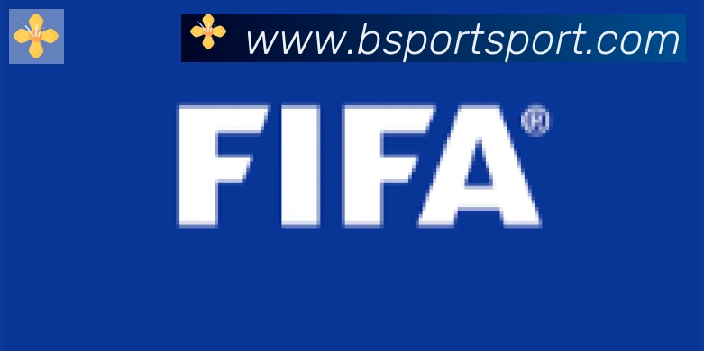 Bsports官网合作伙伴